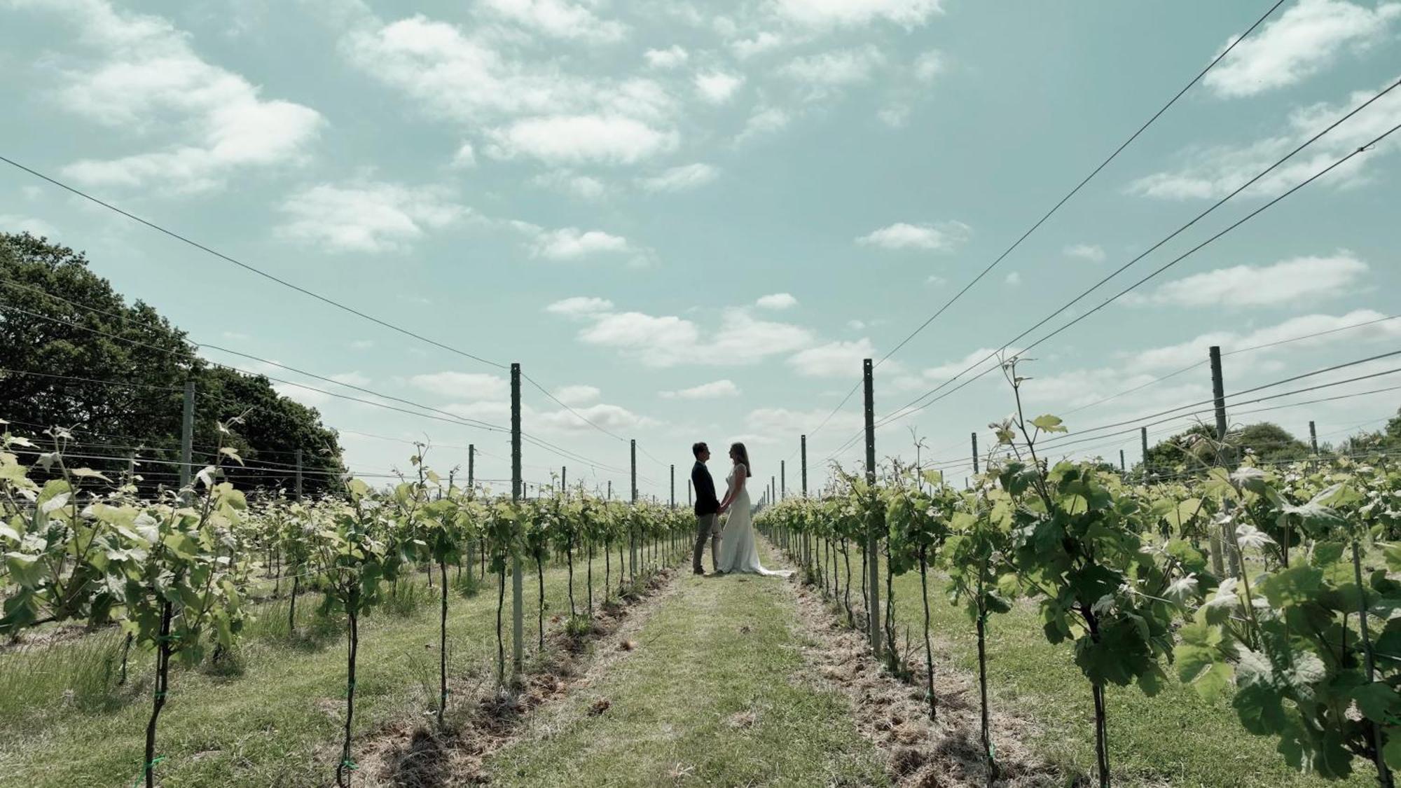 הוילה Osborne  Pinkmead Estate And Vineyard מראה חיצוני תמונה